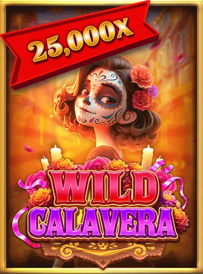 Live Andar Bahar casino game cover